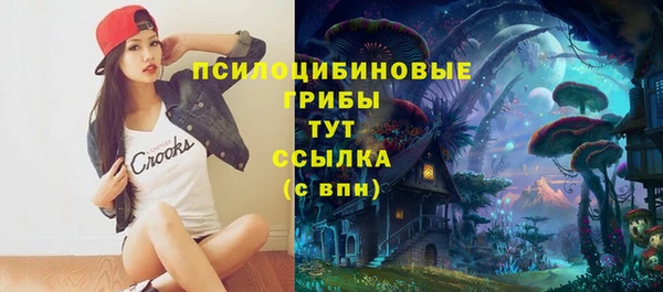 ПСИЛОЦИБИНОВЫЕ ГРИБЫ Алексин